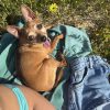 Images de profil de Ana - Blooming Pets - Petsitting et garde d'animaux à domicile