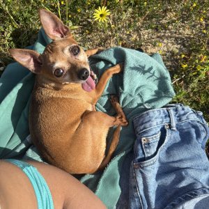 Images de profil de Ana - Blooming Pets - Petsitting et garde d'animaux à domicile