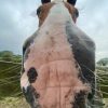 Images de profil de Aurore - Blooming Pets - Petsitting et garde d'animaux à domicile