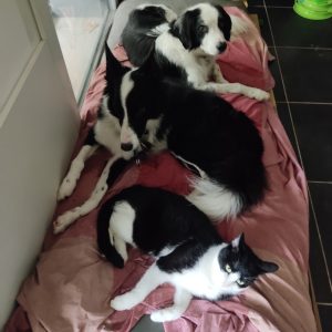 Images de profil de Caroline - Blooming Pets - Petsitting et garde d'animaux à domicile