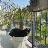 Images de profil de camille - Blooming Pets - Petsitting et garde d'animaux à domicile