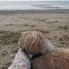 Images de profil de camille - Blooming Pets - Petsitting et garde d'animaux à domicile