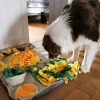 Images de profil de camille - Blooming Pets - Petsitting et garde d'animaux à domicile