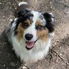 Images de profil de Camille - Blooming Pets - Petsitting et garde d'animaux à domicile
