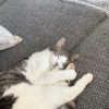 Images de profil de Camille - Blooming Pets - Petsitting et garde d'animaux à domicile