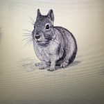 Image de profil de Candice - Blooming Pets - Petsitting et garde d'animaux à domicile