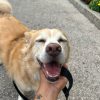 Images de profil de Cecilia - Blooming Pets - Petsitting et garde d'animaux à domicile