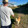 Images de profil de Cecilia - Blooming Pets - Petsitting et garde d'animaux à domicile