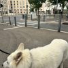 Images de profil de Cecilia - Blooming Pets - Petsitting et garde d'animaux à domicile