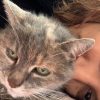 Images de profil de Cecilia - Blooming Pets - Petsitting et garde d'animaux à domicile