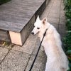Images de profil de Cecilia - Blooming Pets - Petsitting et garde d'animaux à domicile