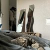 Images de profil de Chloe - Blooming Pets - Petsitting et garde d'animaux à domicile