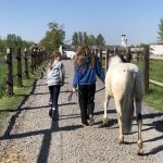 Apache Mon Cheval  Z Mâle stérilisé - Garde d'animaux à domicile