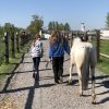 Images de profil de Chloé - Blooming Pets - Petsitting et garde d'animaux à domicile