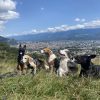 Images de profil de Chloé - Blooming Pets - Petsitting et garde d'animaux à domicile