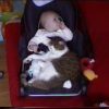Images de profil de Chloé - Blooming Pets - Petsitting et garde d'animaux à domicile