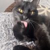 Images de profil de Christal - Blooming Pets - Petsitting et garde d'animaux à domicile