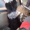 Images de profil de claire - Blooming Pets - Petsitting et garde d'animaux à domicile