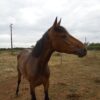 Images de profil de claire - Blooming Pets - Petsitting et garde d'animaux à domicile