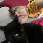 Ange Mon Chat  Croisé Mâle stérilisé - Garde d'animaux à domicile