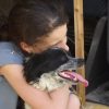 Images de profil de Eglantine - Blooming Pets - Petsitting et garde d'animaux à domicile
