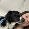 Images de profil de Eglantine - Blooming Pets - Petsitting et garde d'animaux à domicile