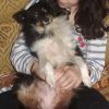 Images de profil de Eglantine - Blooming Pets - Petsitting et garde d'animaux à domicile