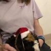 Images de profil de Eleanore - Blooming Pets - Petsitting et garde d'animaux Ă domicile