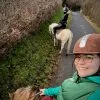 Images de profil de elina - Blooming Pets - Petsitting et garde d'animaux à domicile