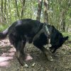Images de profil de Emie - Blooming Pets - Petsitting et garde d'animaux à domicile