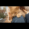 Images de profil de Emma - Blooming Pets - Petsitting et garde d'animaux à domicile