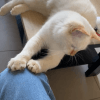 Images de profil de Emma - Blooming Pets - Petsitting et garde d'animaux à domicile