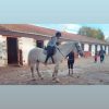 Images de profil de Emma - Blooming Pets - Petsitting et garde d'animaux à domicile