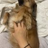 Images de profil de Emma - Blooming Pets - Petsitting et garde d'animaux à domicile