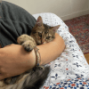 Images de profil de Eva - Blooming Pets - Petsitting et garde d'animaux à domicile