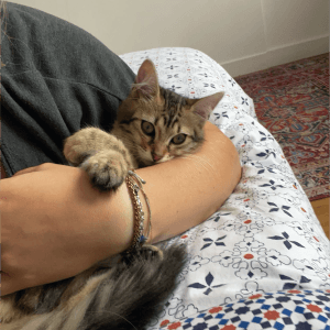 Images de profil de Eva - Blooming Pets - Petsitting et garde d'animaux à domicile