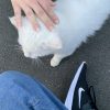 Images de profil de Eva - Blooming Pets - Petsitting et garde d'animaux à domicile