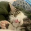 Images de profil de Eva - Blooming Pets - Petsitting et garde d'animaux à domicile