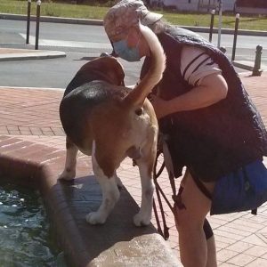 Images de profil de marie chantal - Blooming Pets - Petsitting et garde d'animaux Ă domicile