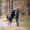 Images de profil de Alexandra - Blooming Pets - Petsitting et garde d'animaux à domicile
