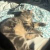 Images de profil de Ines - Blooming Pets - Petsitting et garde d'animaux à domicile