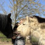 Image de profil de Ines - Blooming Pets - Petsitting et garde d'animaux à domicile