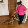 Images de profil de Carine - Blooming Pets - Petsitting et garde d'animaux à domicile