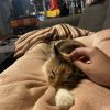 Images de profil de Katarina - Blooming Pets - Petsitting et garde d'animaux à domicile