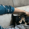 Images de profil de kenza - Blooming Pets - Petsitting et garde d'animaux à domicile