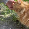 Images de profil de Kéziah - Blooming Pets - Petsitting et garde d'animaux à domicile