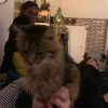 Images de profil de Kéziah - Blooming Pets - Petsitting et garde d'animaux à domicile
