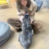 Images de profil de Clémentine - Blooming Pets - Petsitting et garde d'animaux à domicile