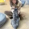 Images de profil de Clémentine - Blooming Pets - Petsitting et garde d'animaux à domicile