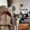 Images de profil de Clémentine - Blooming Pets - Petsitting et garde d'animaux à domicile